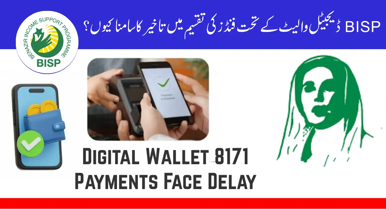8171 Digital Wallet Payments Face Delay October 2025