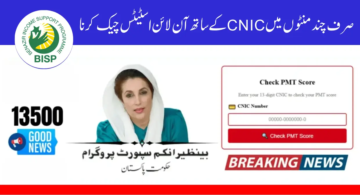 Best Method to Check 8171 Status Online with CNIC in Just Minutes
