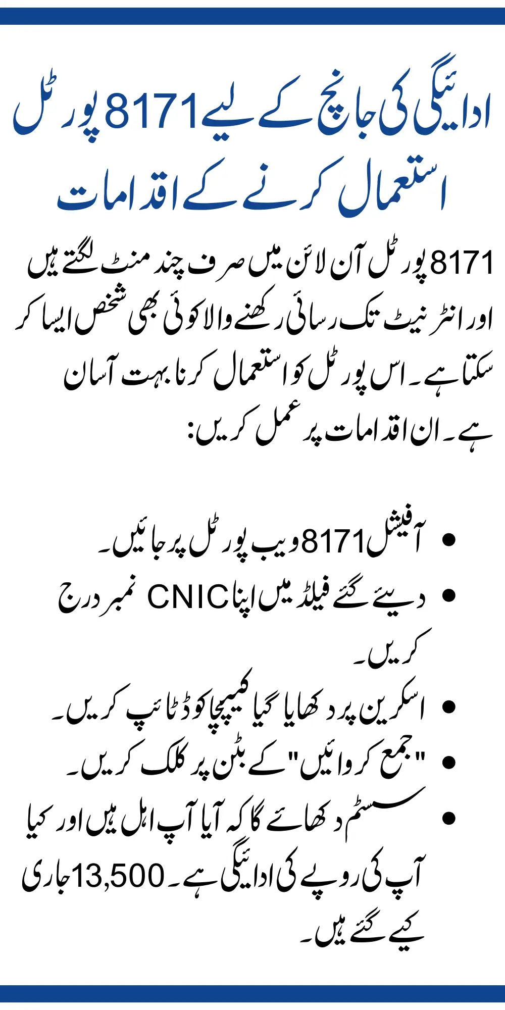 Steps to Use the 8171 Portal for Payment Checking