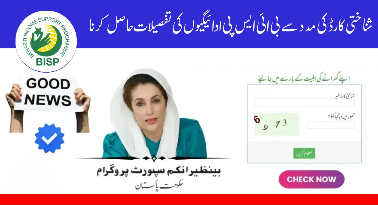 Track Your 8171 BISP Payment Status by CNIC Online