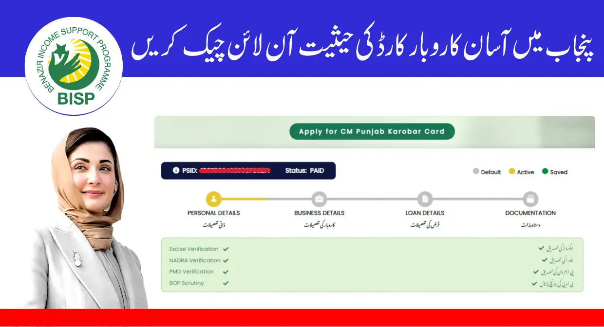 Applicants Can Now Check Asaan Karobar Card Status Online in Punjab